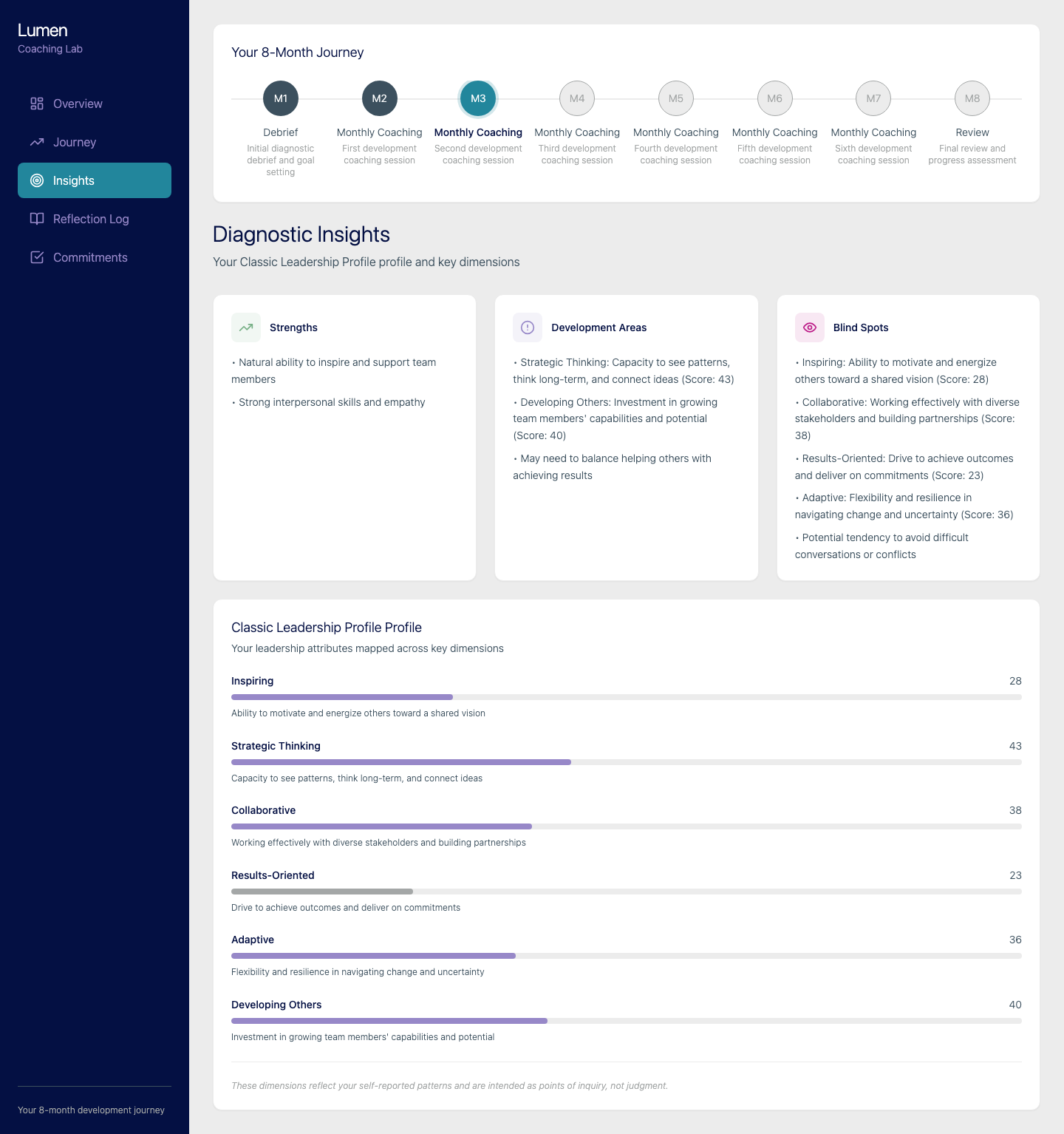 The finished coaching platform showing the eight-month journey and diagnostic insights